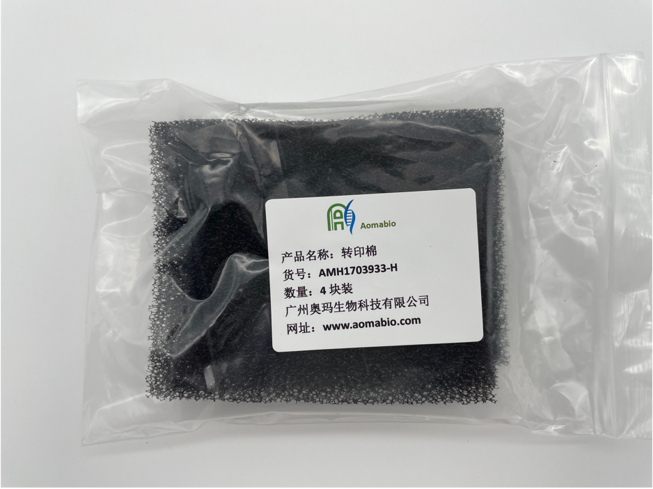 AMH1703933-H，转印棉，4块装
