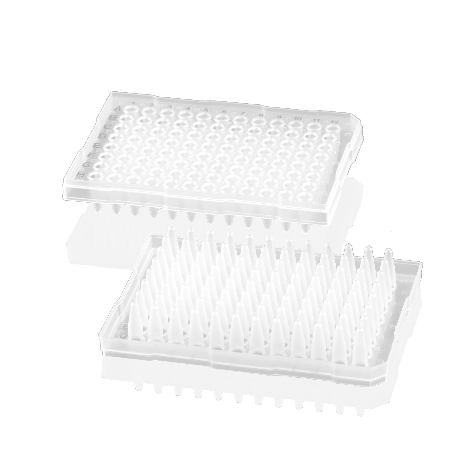 200ul 96孔PCR板，半裙边，磨砂（适配仪器：Thermo品牌 0.2ml模块仪器）